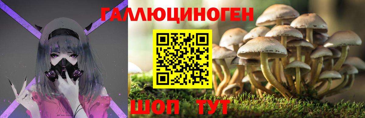 Галлюциногенные грибы мухоморы  Вход с VPN  Черкесск 